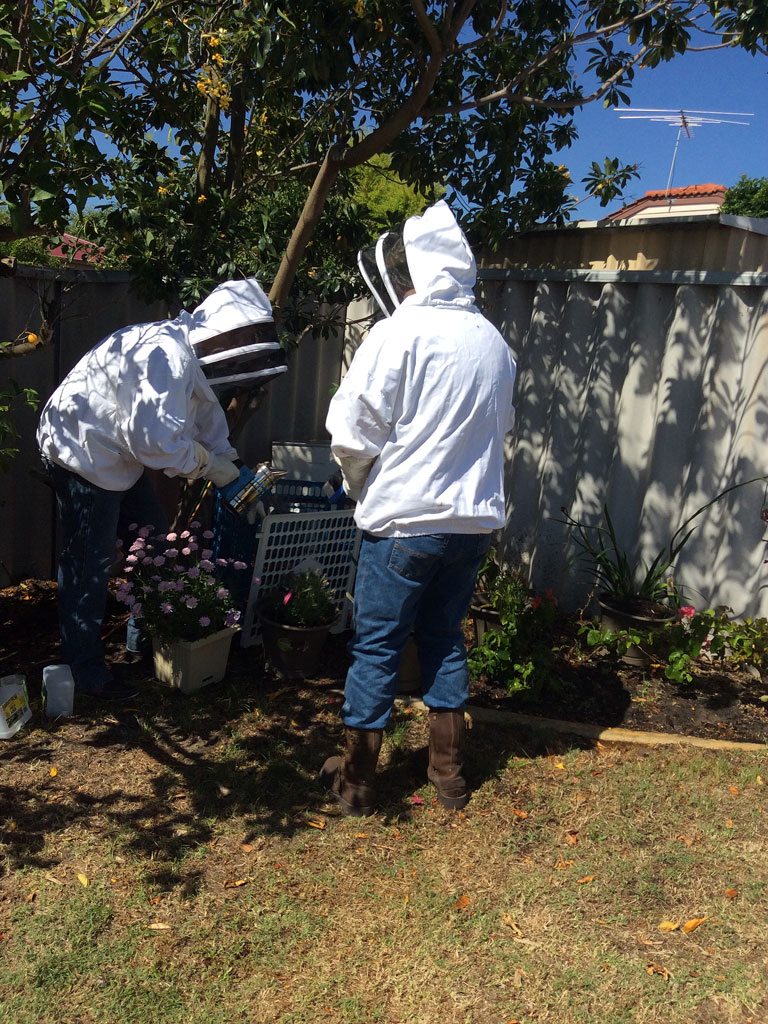 BIT-Beekeeper